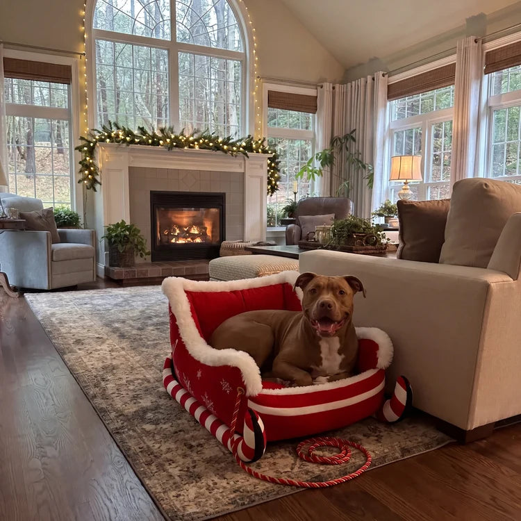 The bed that survives mud, rain and shedding season
